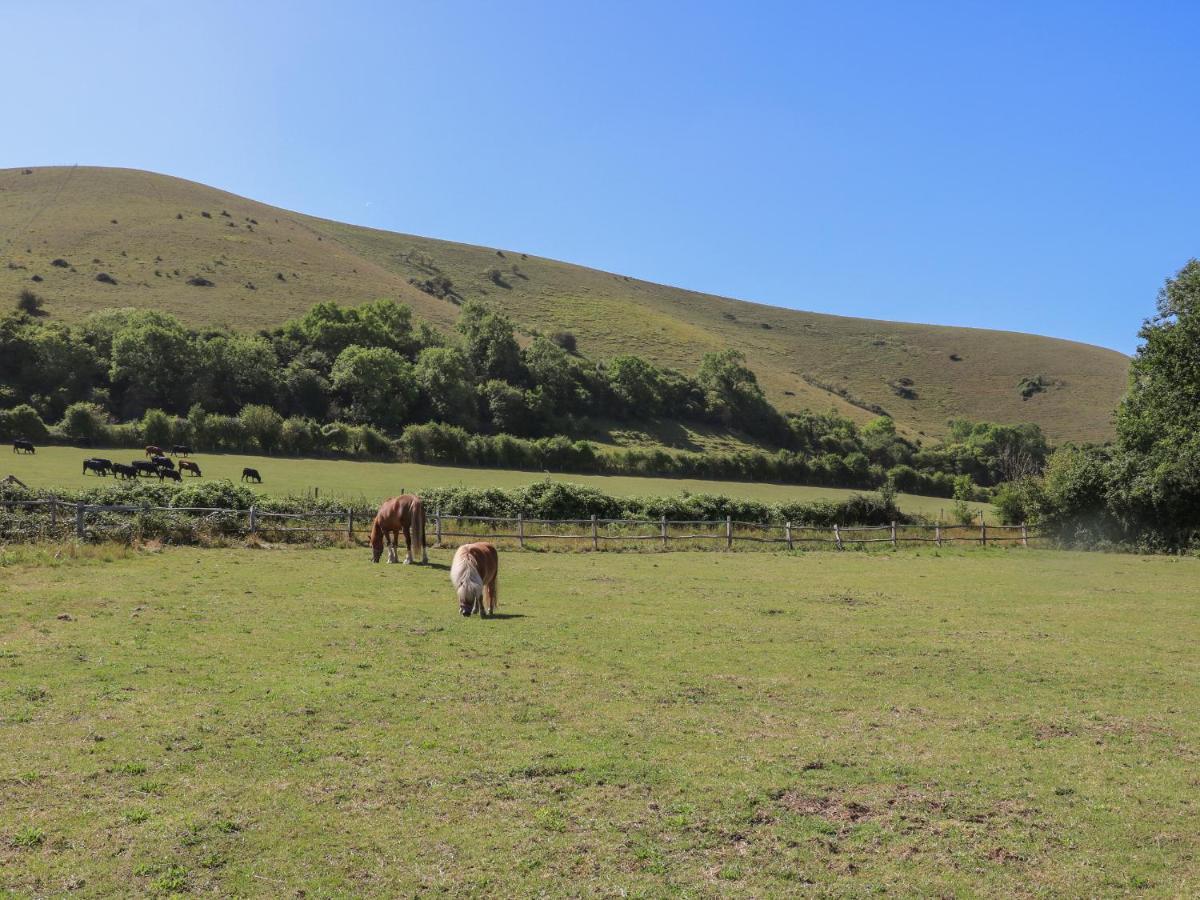1 Paythorne Farm Cottages Henfield Εξωτερικό φωτογραφία